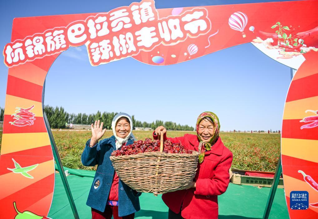 博信红包